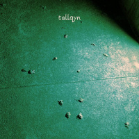 Tallqyn