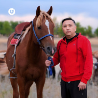 Казбек Идрисов