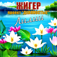 Жигер